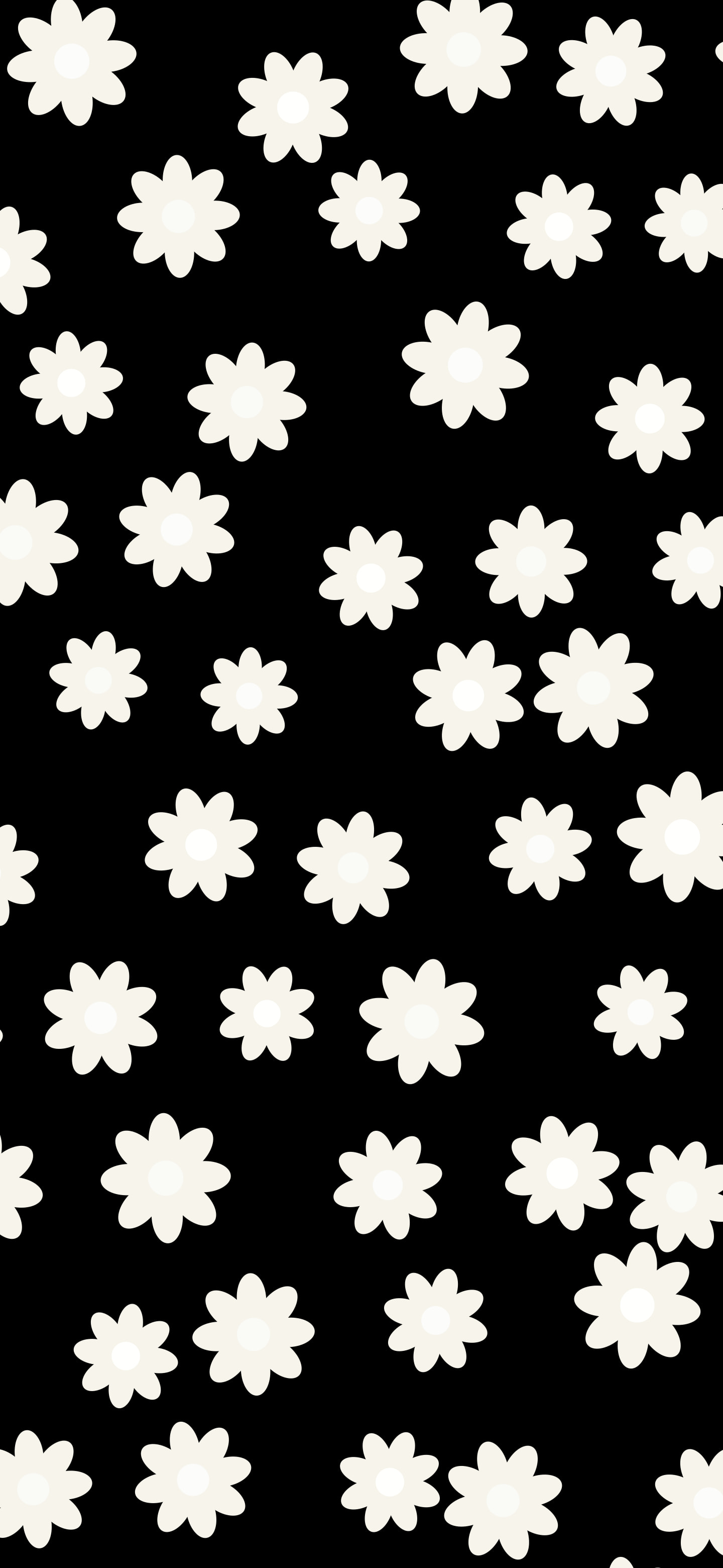 Black and White Daisy Flower Pattern wallpaper for iPhone and Android