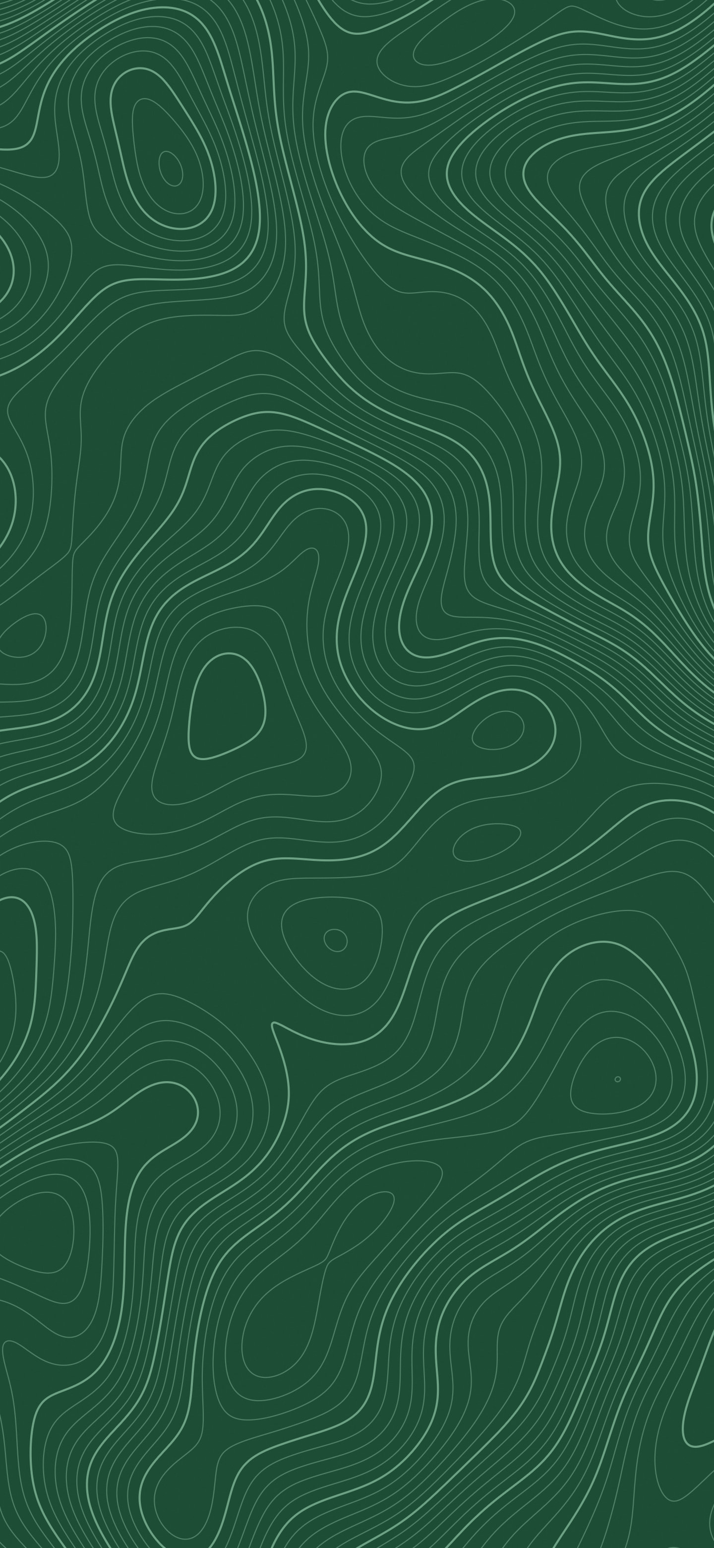 Dark Green Topographic Line wallpaper for iPhone and Android