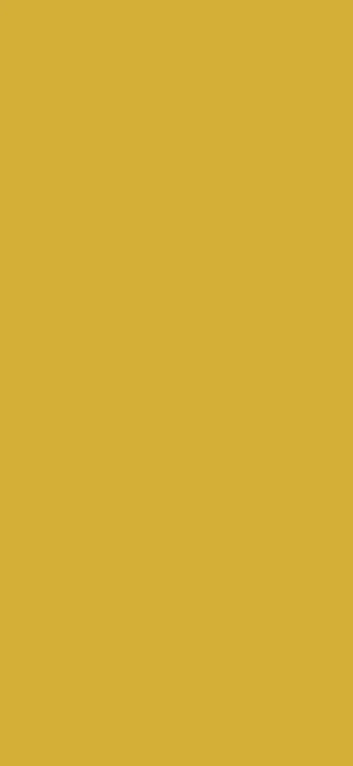 Gold Plain Solid Color wallpaper for iPhone and Android