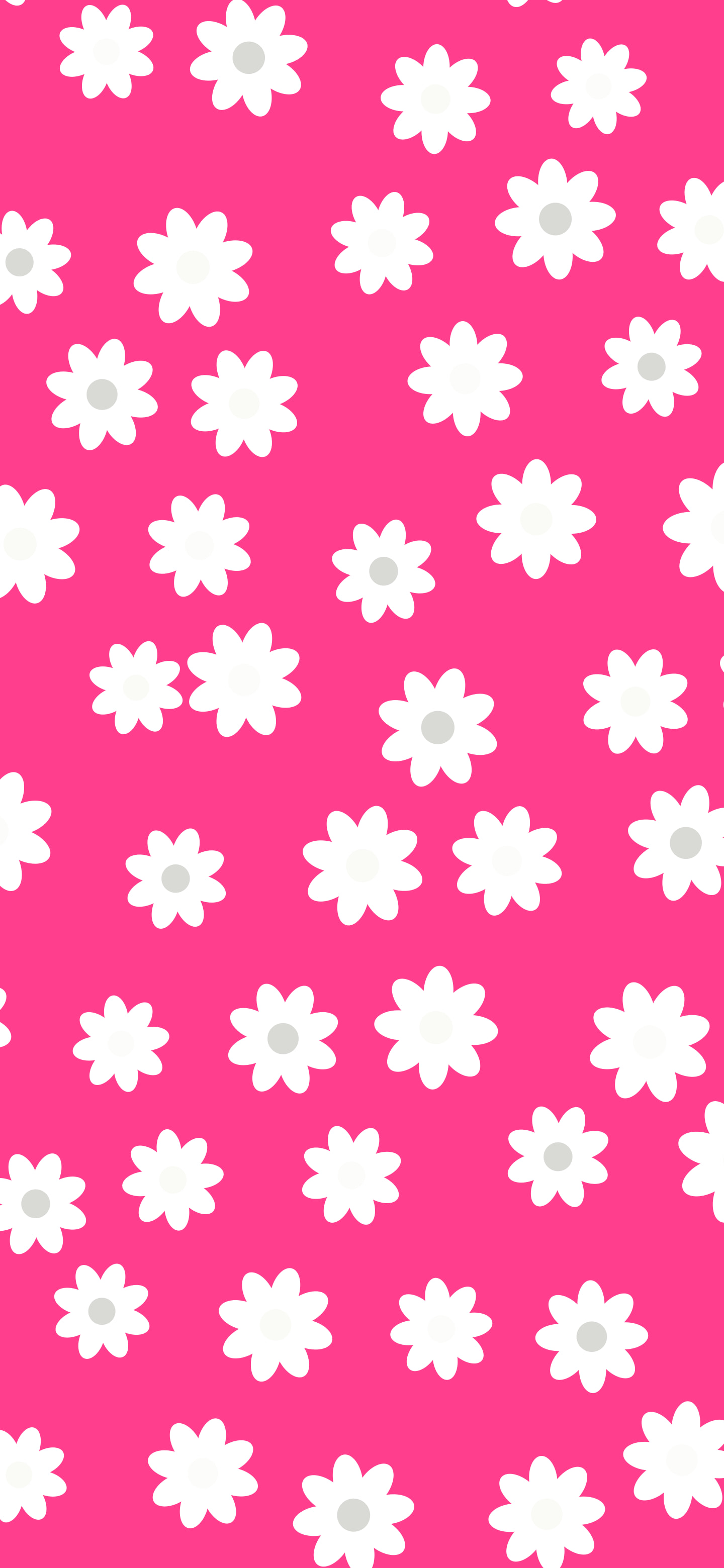 Hot Pink and White Daisy Flower Pattern wallpaper for iPhone and Android