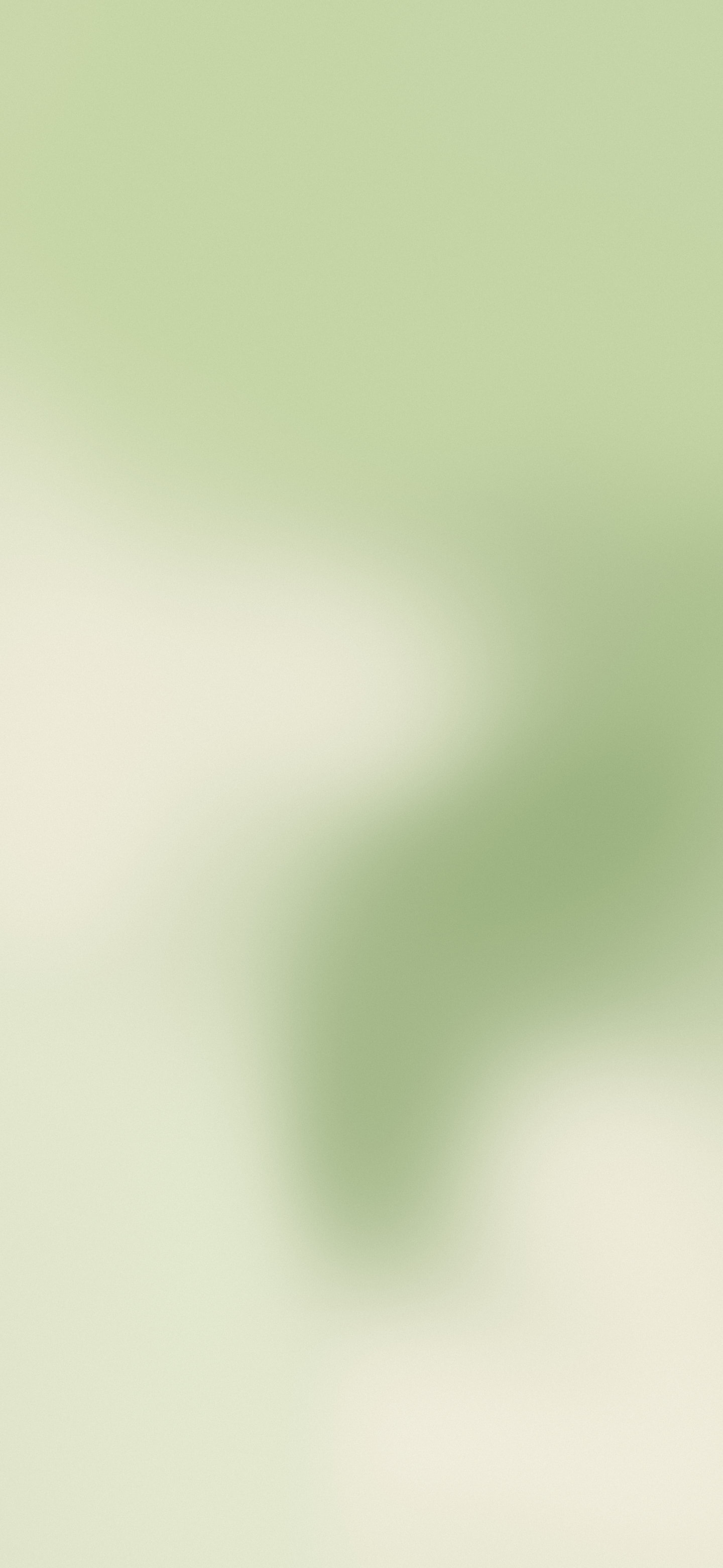 Matcha Mesh Gradient wallpaper for iPhone and Android