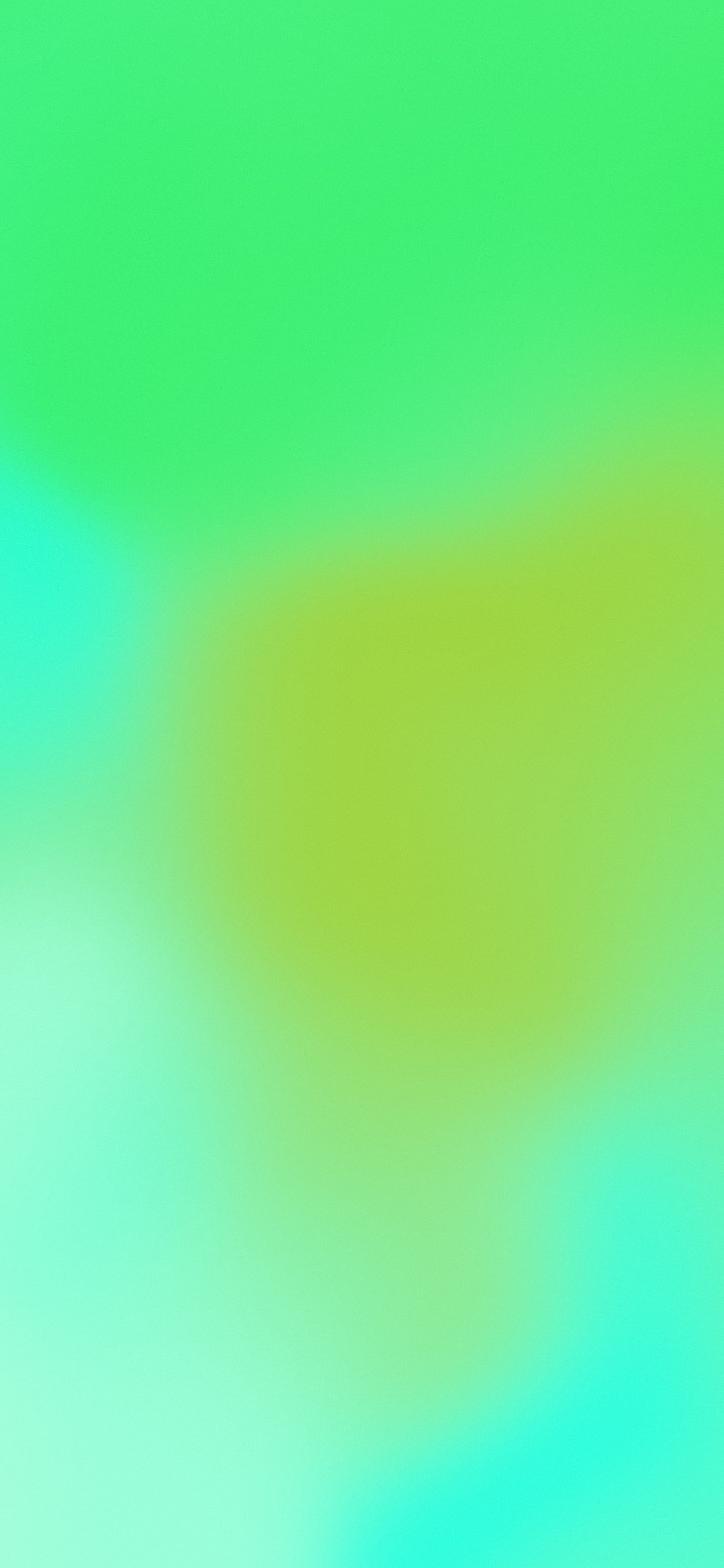 Neon Green Mesh Gradient wallpaper for iPhone and Android