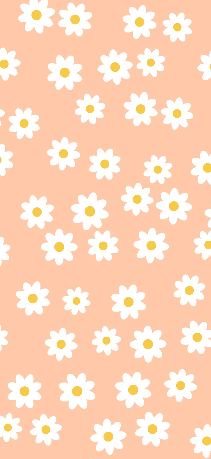 Peach Daisy Flower Pattern wallpaper for iPhone and Android