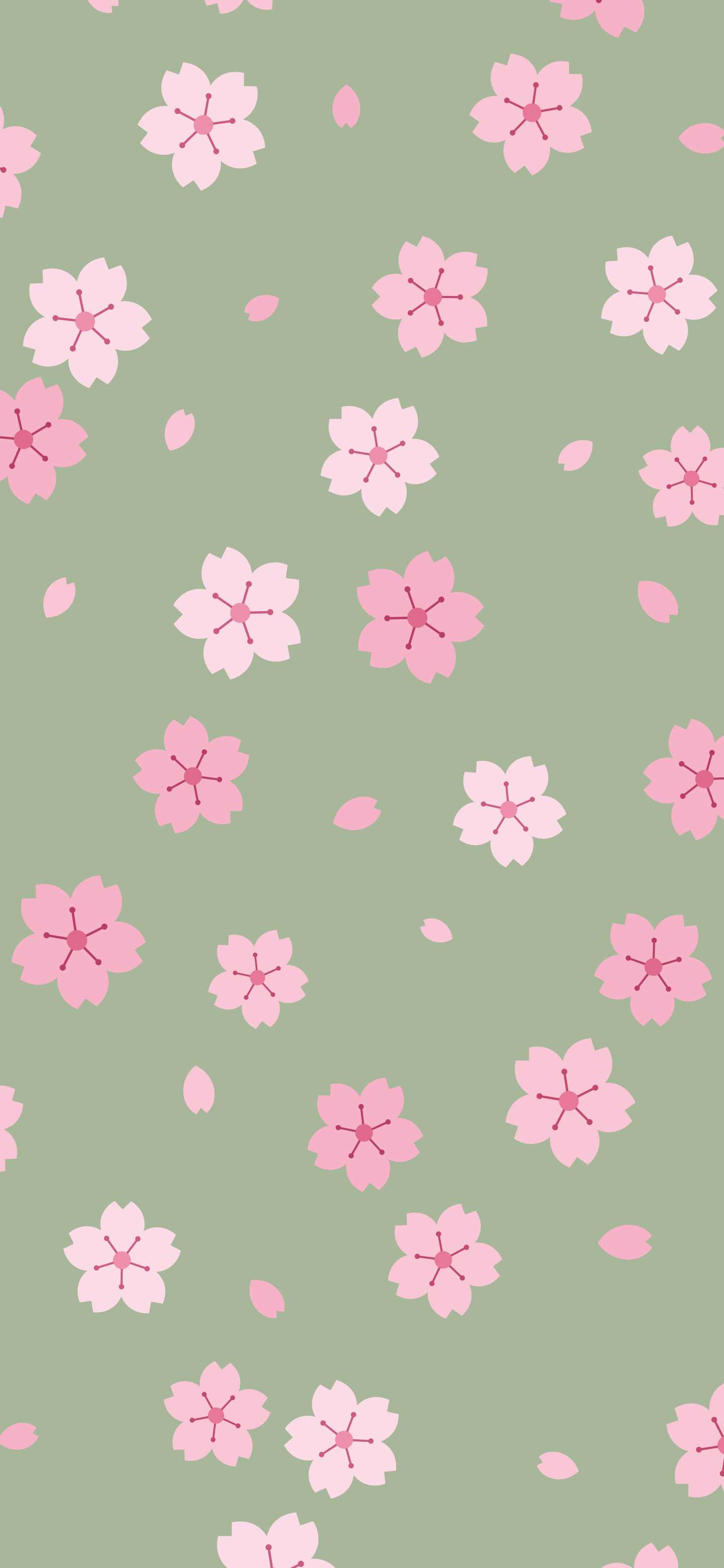 Sage Green Cherry Blossom Pattern wallpaper for iPhone and Android