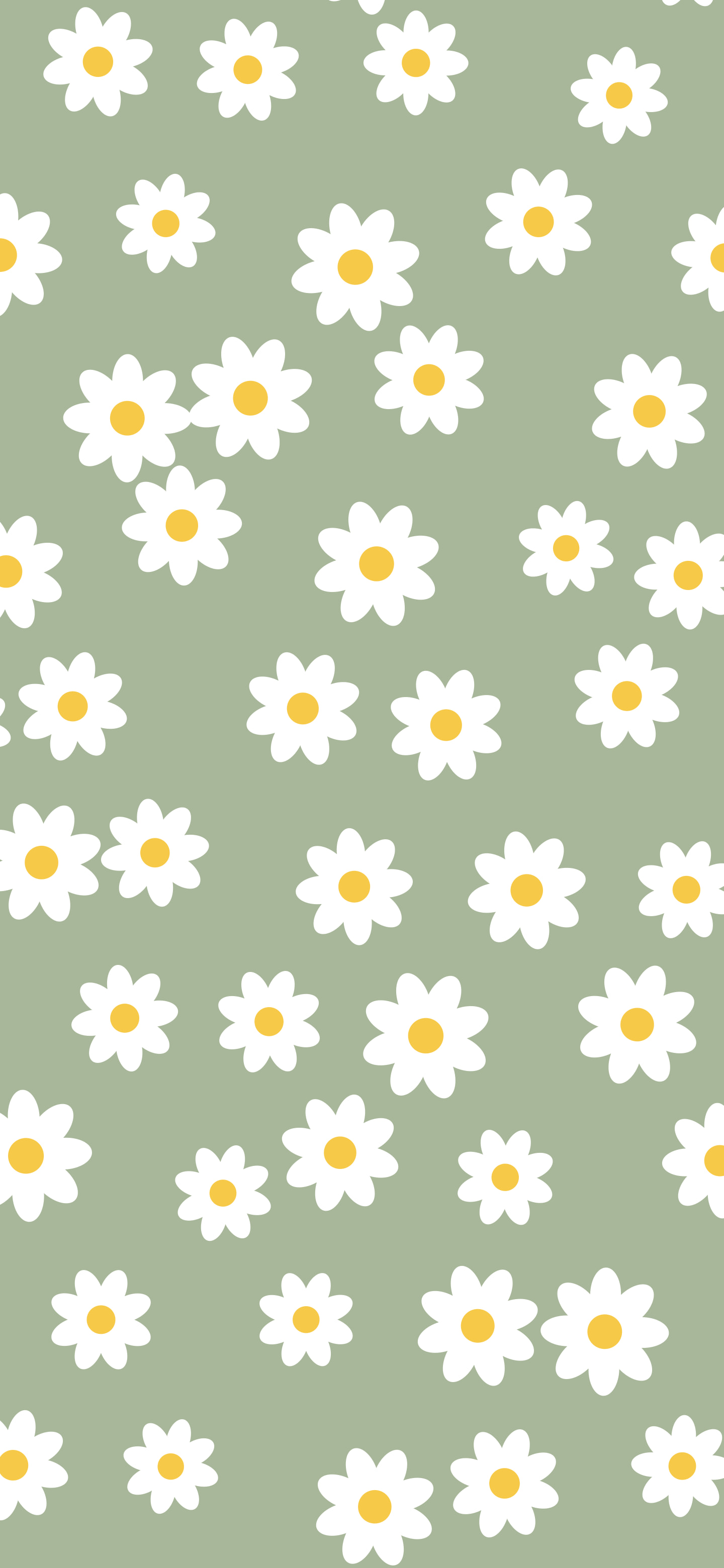 Sage Green Daisy Flower Pattern wallpaper for iPhone and Android