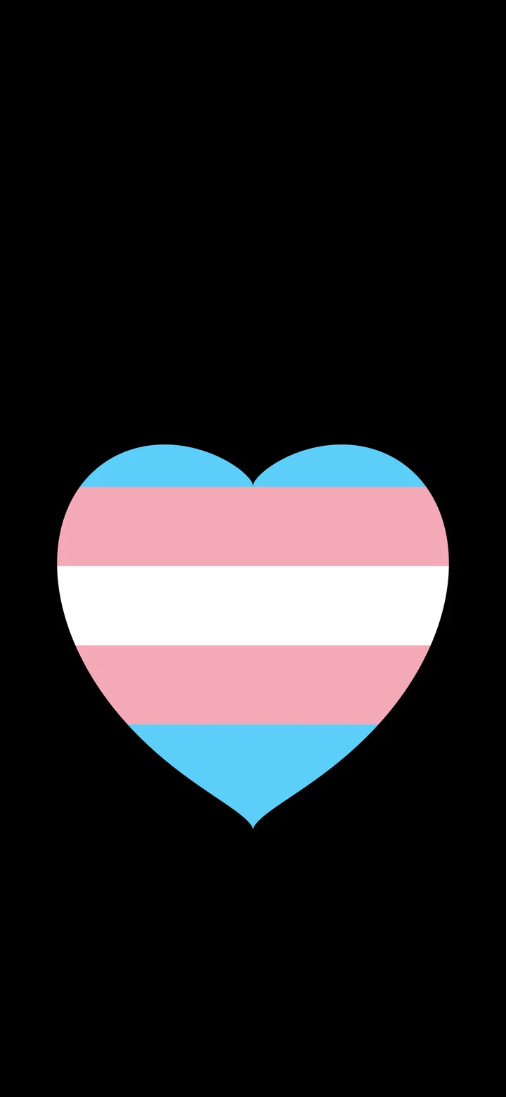 Trans Pride Heart wallpaper for iPhone and Android